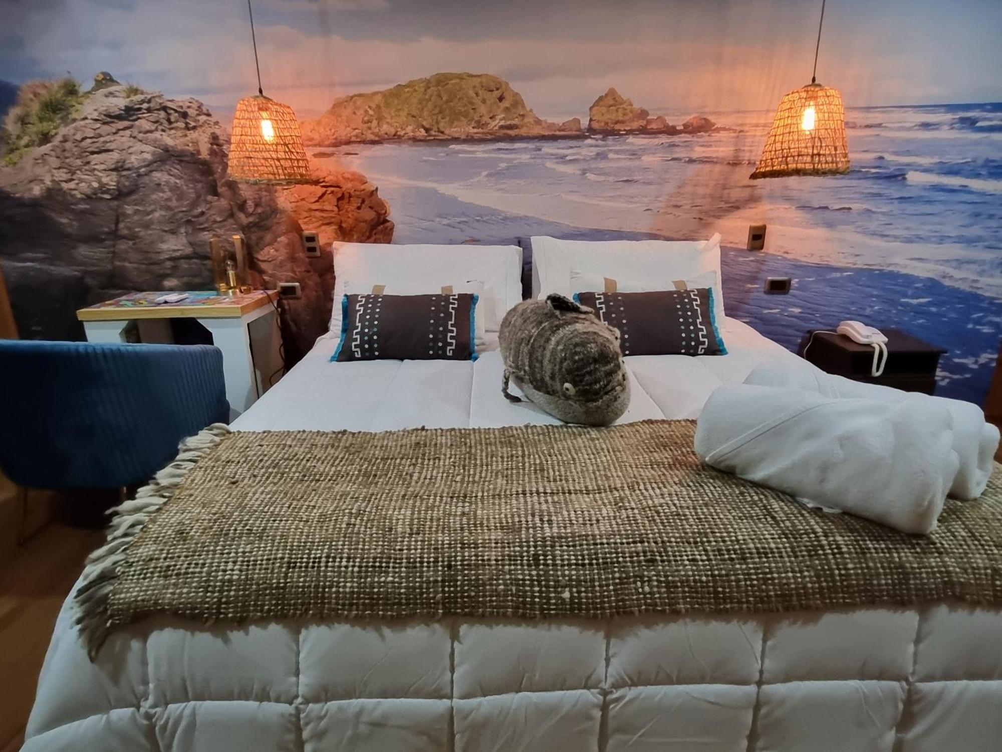 Hotel Boutique Tierra De Islas Chiloe 卡斯特鲁 客房 照片